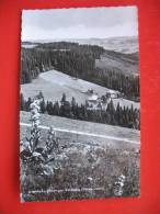 Delcampe - Jagerheim Rinken Am Feldberg - Feldberg