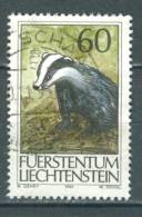 Liechtenstein, Yvert No 1007 + - Gebraucht