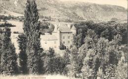 Lozère- Chanac -Château De Ressouches. - Chanac