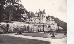 BR19945 Rigny Usse Le Chateau  2  Scans - Reugny