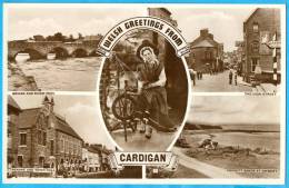 UK. Wales. Cardigan. - Cardiganshire