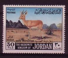 Jordanië ** (L 3) - Animalez De Caza