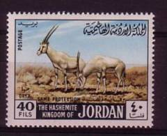 Jordanië ** (L 3) - Gibier