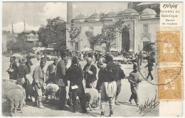 Greece 1908 Ottoman Occupation Of Thessaloniki - Sheep Market - Thessalonique