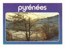 Cp, Midi Pyrénées, Les Pyrénées, Coucher Du Soleil Sur La Neige, écrite 1987 - Midi-Pyrénées