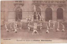 GYMNASE UNION MACÔNNAISE  Pyramide Des Adultes - Gymnastiek