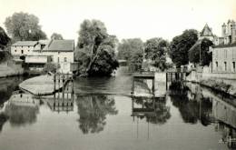 Delcampe - CPSM   ROMORANTIN    Le Moulin Et Ses Environs - Romorantin