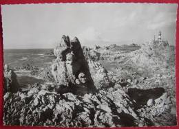 Delcampe - Dep 29 , Cpsm  OUESSANT , 43 , Le Lapin Et Le Pern (V4.10) - Ouessant