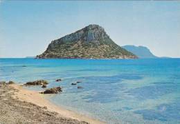 Cp , ITALIE , GOLFO ARANCI , Figarolo - Olbia