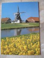 Neuharlingersiel -Ostfriesland     Windmill - Molen  Mühle Moulin    D88269 - Wittmund