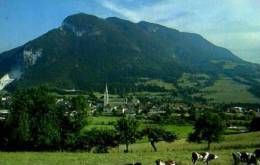 74 THORENS LES GLIERES Alt 670m Vue Generale Sur Le Village Avec Les Contreforts Du Parmelan, Vaches - Thorens-Glières