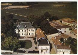 MARGAUX  - Château Palmer  -   CPM - Margaux