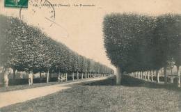 LUSIGNAN - Les Promenades - Lusignan