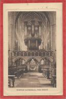 Angleterre - EXETER - Cathedral - Organ - Orgues - Orgel - Exeter