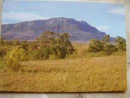 Australia - Rawnsley's Bluff - Flinders Ranges -South Australia   D88664 - Flinders Ranges