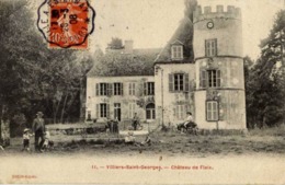 Dépt 77 - VILLIERS-SAINT-GEORGES - Château De Flaix - Animée, ânes - Villiers Saint Georges