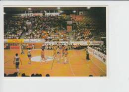 Basket Basketball Unused Postcard (ko010) Titov Vrbas - Basket-ball