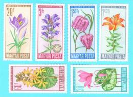 Stamps - Hungary - Neufs