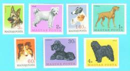 Stamps - Hungary - Neufs