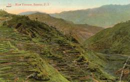 Rice Terraces Bontoc Philippines 1905 Postcard - Philippines