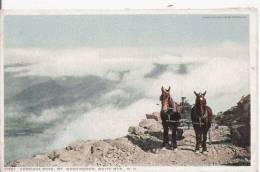 CARRIAGE ROAD 71257 MT WASHINGTON WHOTE MTS NH (ATTELAGE CHEVAUX) - White Mountains