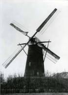 KALKEN Bij Laarne (O.Vl.) - Molen/moulin - Stenen Bergmolen De Landtsheer Met Verdekkerde Wieken. Bestaat Nog Als Romp. - Laarne