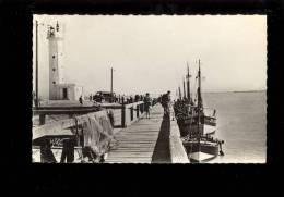 LE HOURDEL Somme 80 : Débarquement Du Poisson ( Quai Phare Ponton Bateaux De Pêche TUB Citroen - Le Hourdel