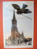(2/2/28) AK "Ulmer Münster" Höchste Kirche Der Welt (161 M.) Mit Ulmer Spatz, Um 1910 - Ulm