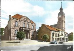 57 - Moselle - FREYMING  - L'Eglise Et La Mairie - Dentelée - Format 10,5  X  14,9 - Pierron  Sarreguemines 6255 - Freyming Merlebach