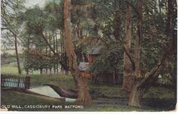 WATFORD Old Mill Cassiobury Park (1907) - Hertfordshire