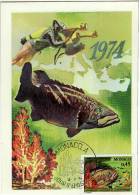 Monaco / Maximum Cards / Animals / Fish - Cartoline Maximum