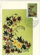 Monaco / Maximum Cards / Plants / Flowers - Cartoline Maximum