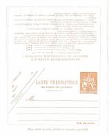 LBL12 - CL PNEUMATIQUE CHAPLAIN 1f60 GRIS BLEU DIM. 155x125mm  NEUVE COLLE SUR PATTES DU VERSO - Pneumatische Post