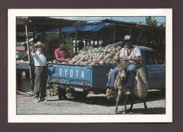 RÉPUBLIQUE DOMINICAINE - REPUBLICA DOMINICANA - VENDEDORA DE FRUTAS ERICH HAUSER MERCADO DE PUERTO PLATA BY MARTIN LOPEZ - Repubblica Dominicana