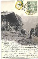 AK  Sur L'Alpe - Sennhütte Auf Der Alp   (Ziffer - Abart)               1906 - Lettres & Documents