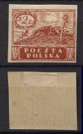 Polen Poland Mi# 99y * M€ 30,- Waagrecht Geripptes Papier - Unused Stamps