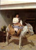 (110) Portugal - Algrave Women Montaineer On Donkey - Zonder Classificatie