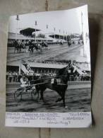 Hungary Hippodrome - Ügetö - Horse Racing   Race  Real Photo 1985 - Not A Postcard   X130.2 - Reitsport