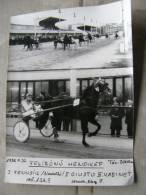 Hungary Hippodrome - Ügetö - Horse Racing   Race  Real Photo 1986 - Not A Postcard   X130.3 - Reitsport