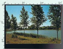 81  RABASTENS LE LAC - Rabastens