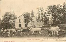 Déc12 846 : Chalet Du Mont De Baulmes - Baulmes