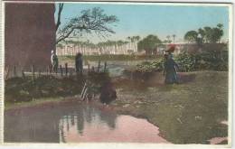 EGYPT VINTAGE POST CARD UN-USED FARMER VILLAGE BY EDITORS CASTRO & GIRO " ARAB VILLAGE " - Guiza