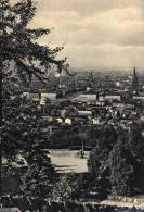 1954 - TORINO - PANORAMA - Panoramic Views