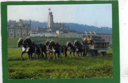 Rheinfelden Attelage Transport  Tonneaux  Rheinfelden - Brauerei Feldschlösschen Mit Sechsspänner (Bahnstempel)19 80 - Rheinfelden