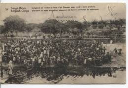 Belgisch Congo Belge CP Vue 24 Entier 10 C C.Boma 1917  AP300 - Enteros Postales