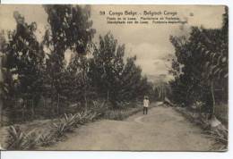 Belgisch Congo Belge CP Vue 59 Entier 10 C C.Boma 1919  AP302 - Enteros Postales