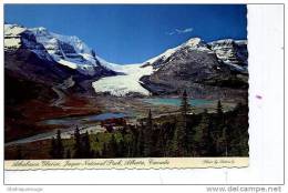 ATHABASCA GLACIER JASPER NATIONAL PARK ALBERTA PHOTO SUTTON  N°4383 D EN1982 - Edmonton