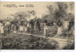 Belgisch Congo Belge CP Vue 20 Entier 5c C.Basankusu 1914 1 TP Manquant  AP326 - Interi Postali