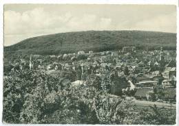 Germany, Hofheim Am Taunus, Blick Zum Kapellenberg, 1962 Used Postcard [13254] - Hofheim