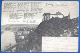 Deutschland; Leisnig; Schloss Mildenstein; Mit Gedicht Von Mathilde Ficker; 1915 - Leisnig